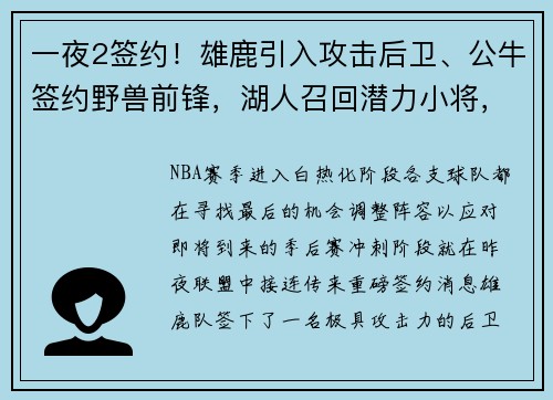 一夜2签约！雄鹿引入攻击后卫、公牛签约野兽前锋，湖人召回潜力小将，三队再现转折