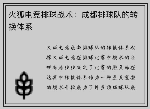 火狐电竞排球战术：成都排球队的转换体系